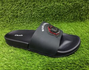 IMG_20250911_130104 BOLMAIN EVR CHAPPAL